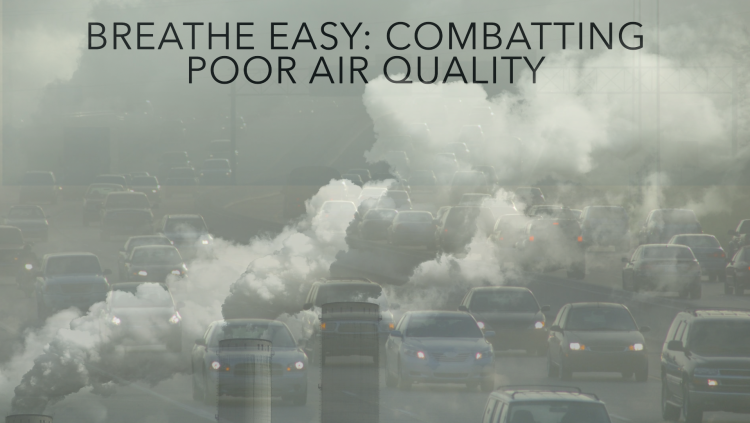 Breathing Danger: How Poor Air Quality Impacts Your Health and What You Can Do About It