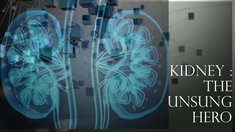 Kidney Health: The Unsung Hero of Your Body